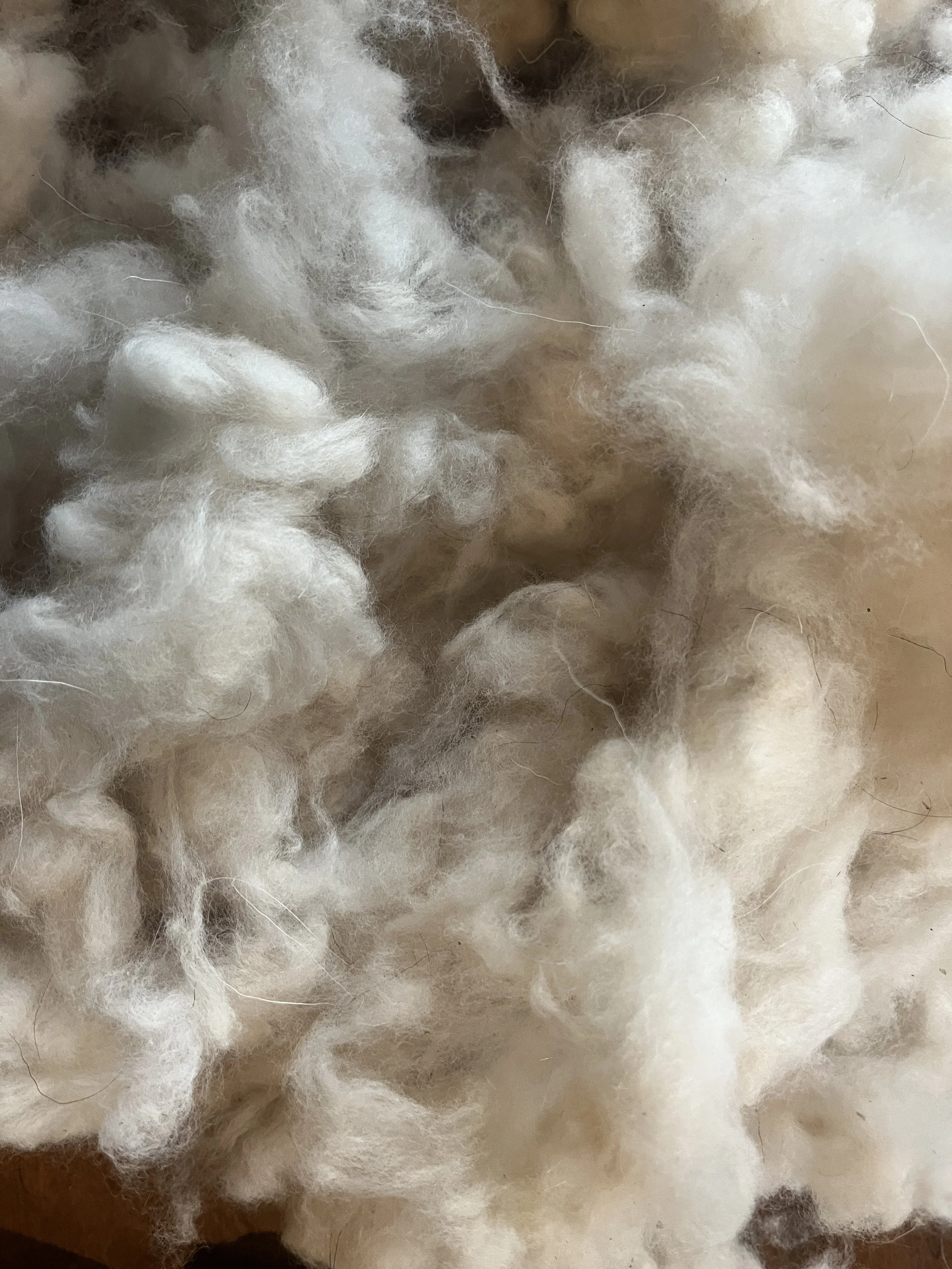 4oz Raw Cashmere (Cream)