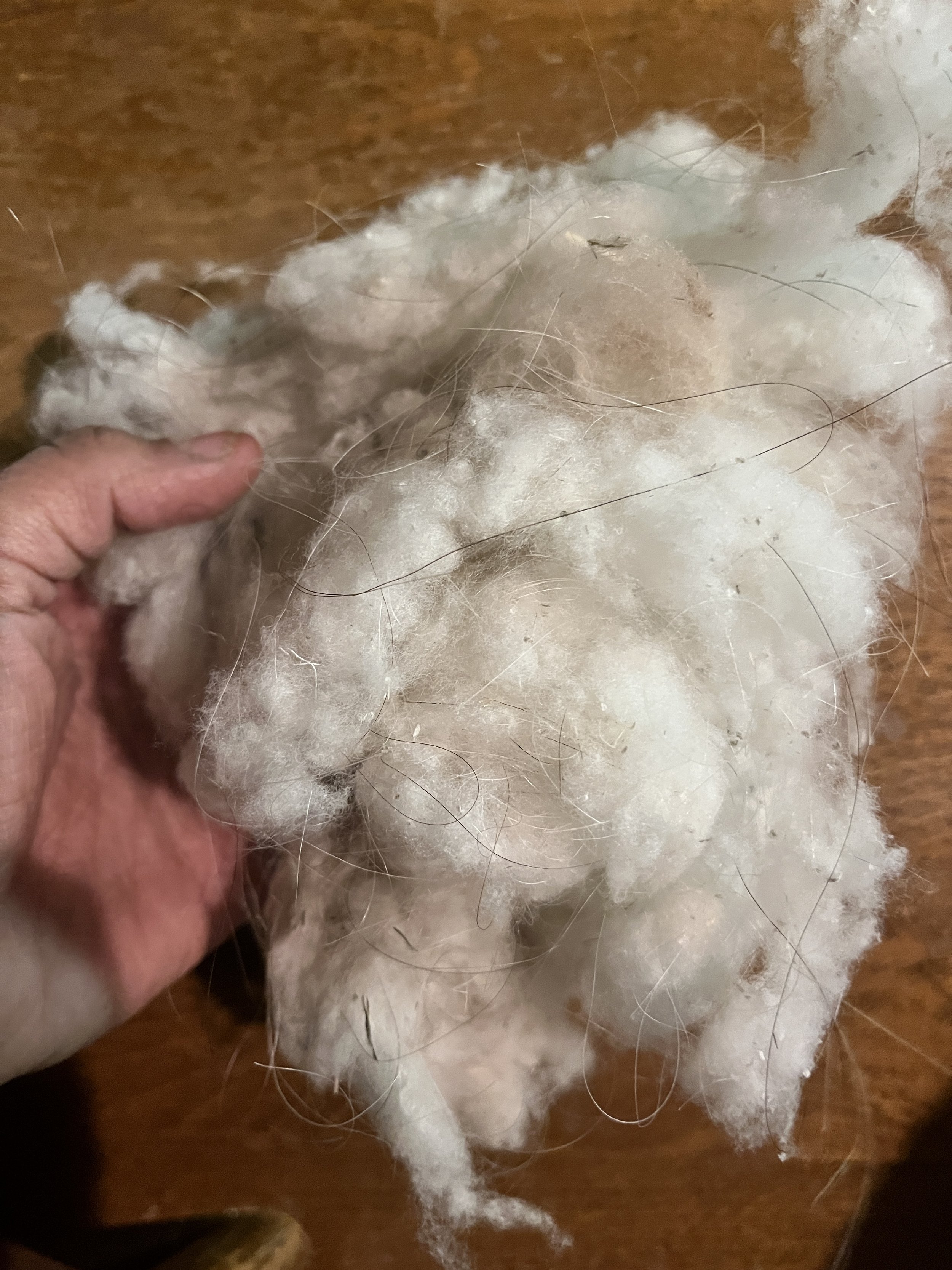 Unspooled white and light brown wool yarn and loose fibers on a wooden surface.