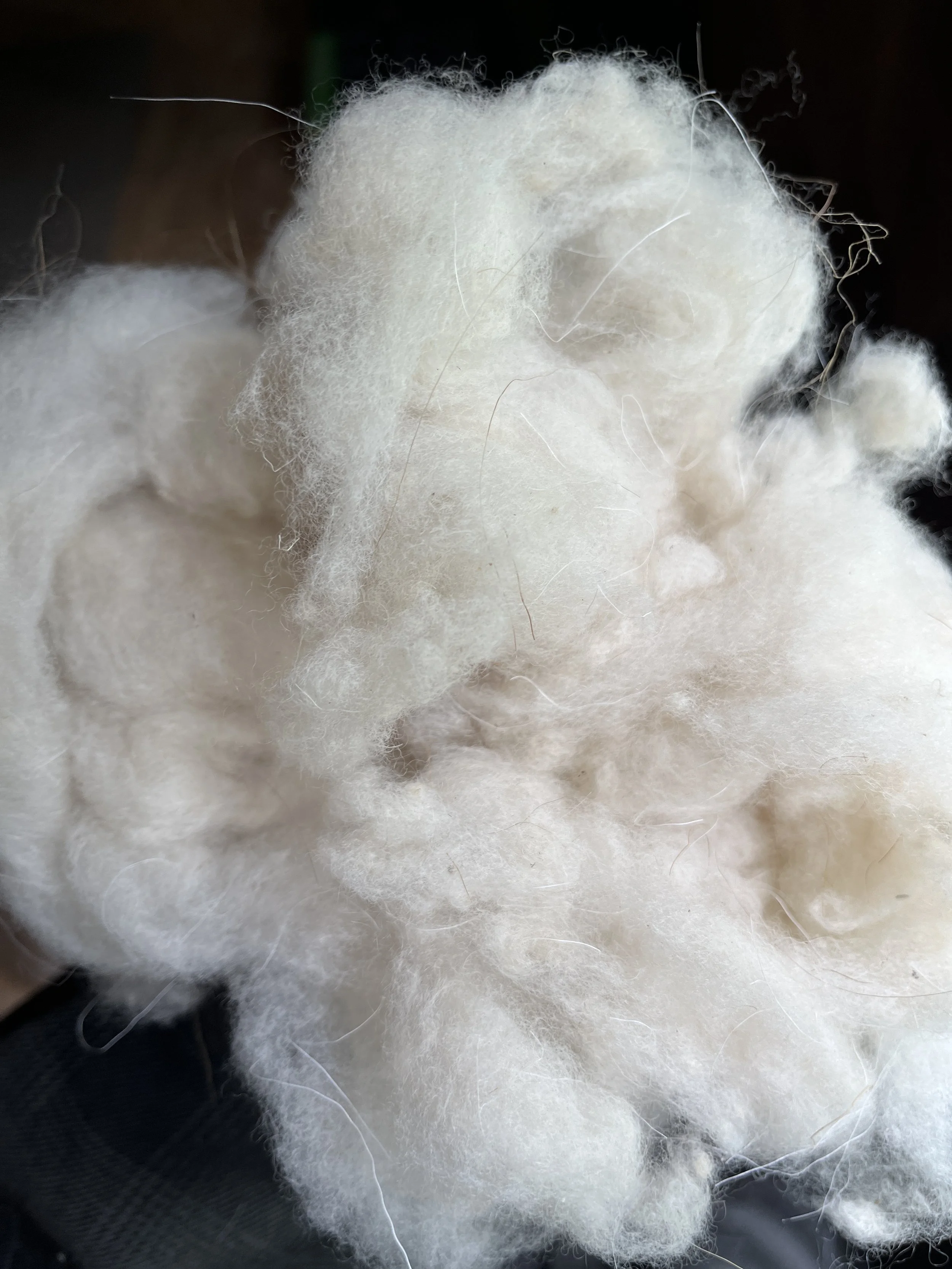 fiber_sample.jpeg