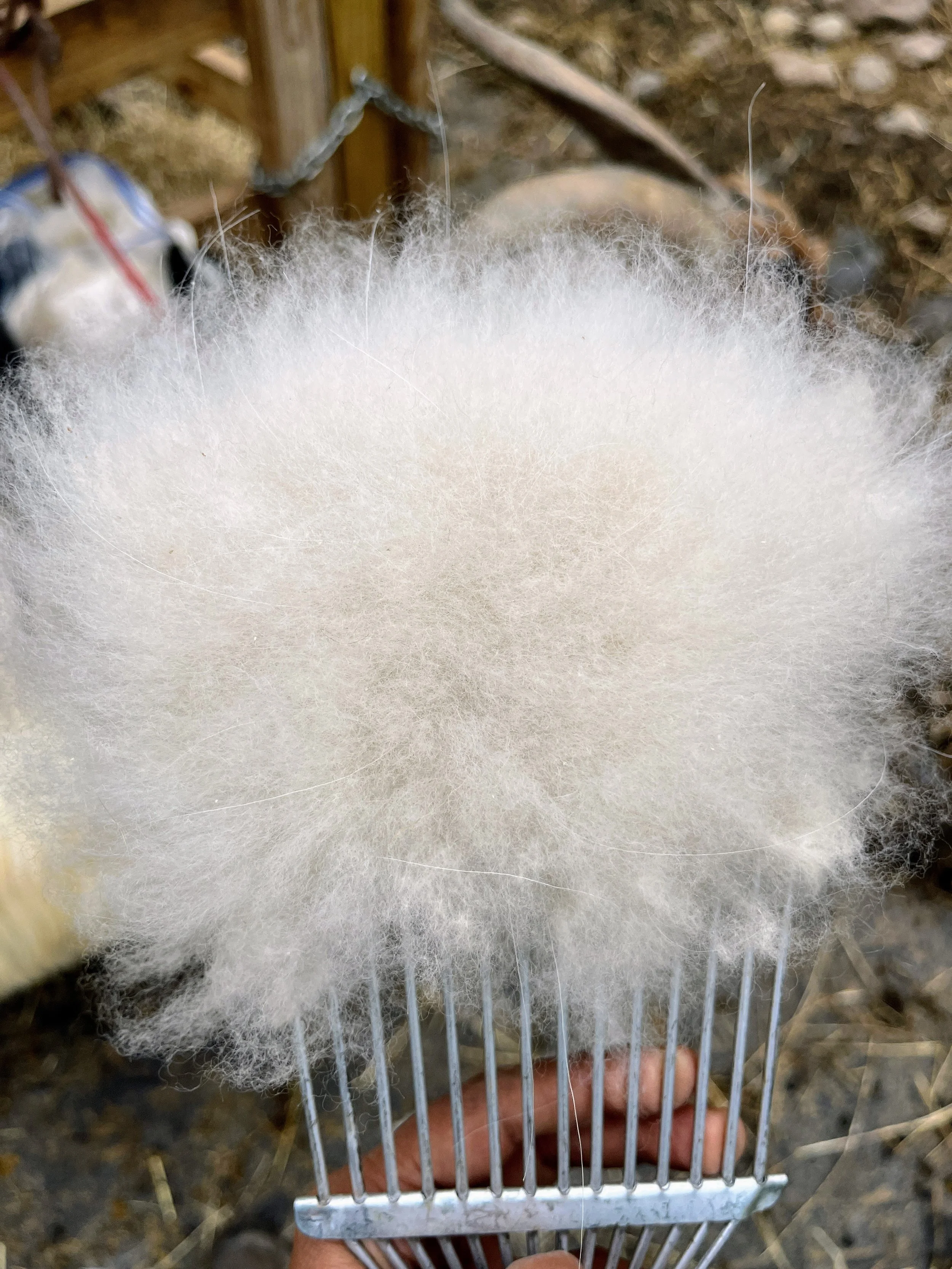 cashmere_comb_withfiber2.JPG