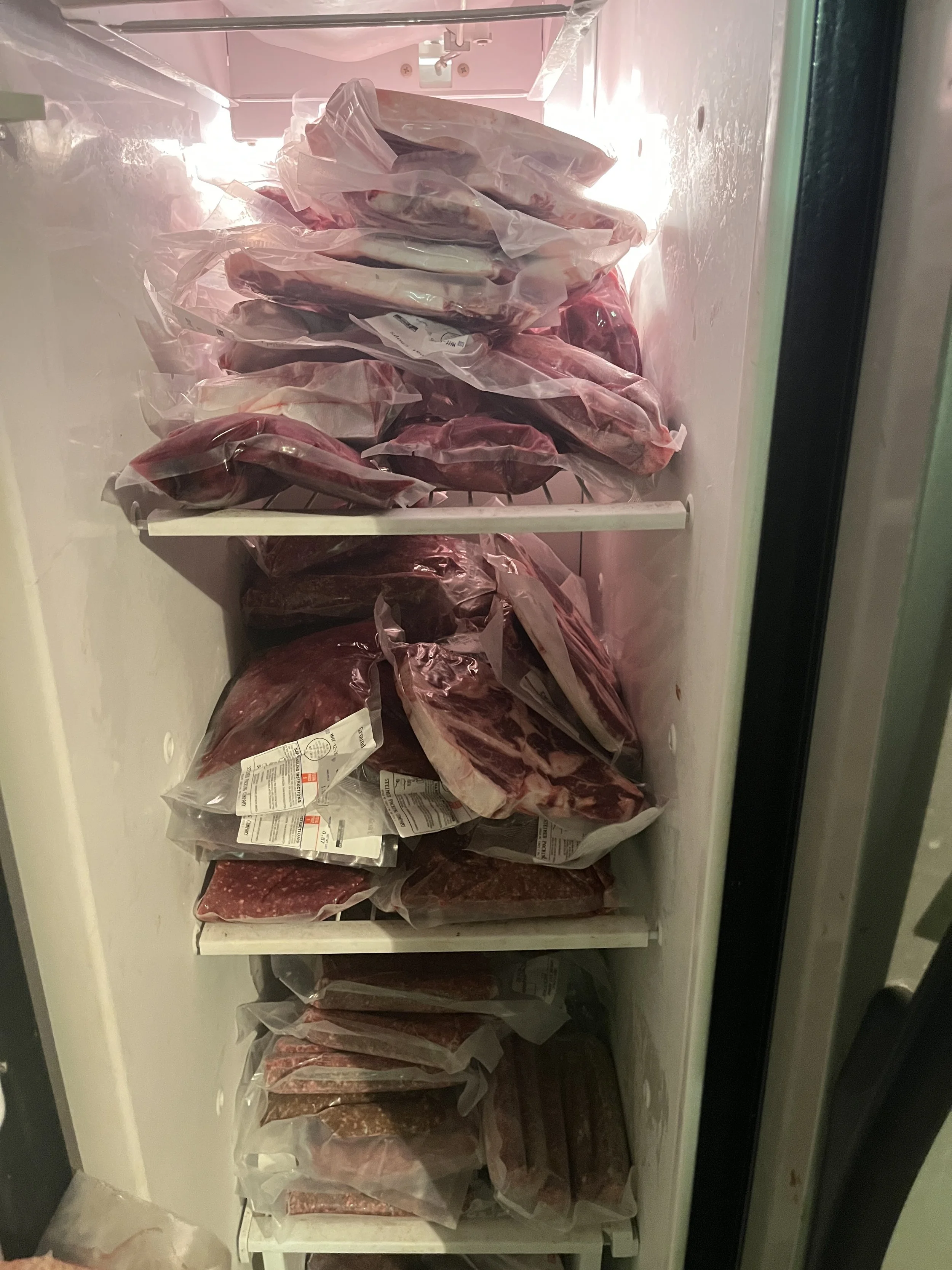 freezer_full.jpeg