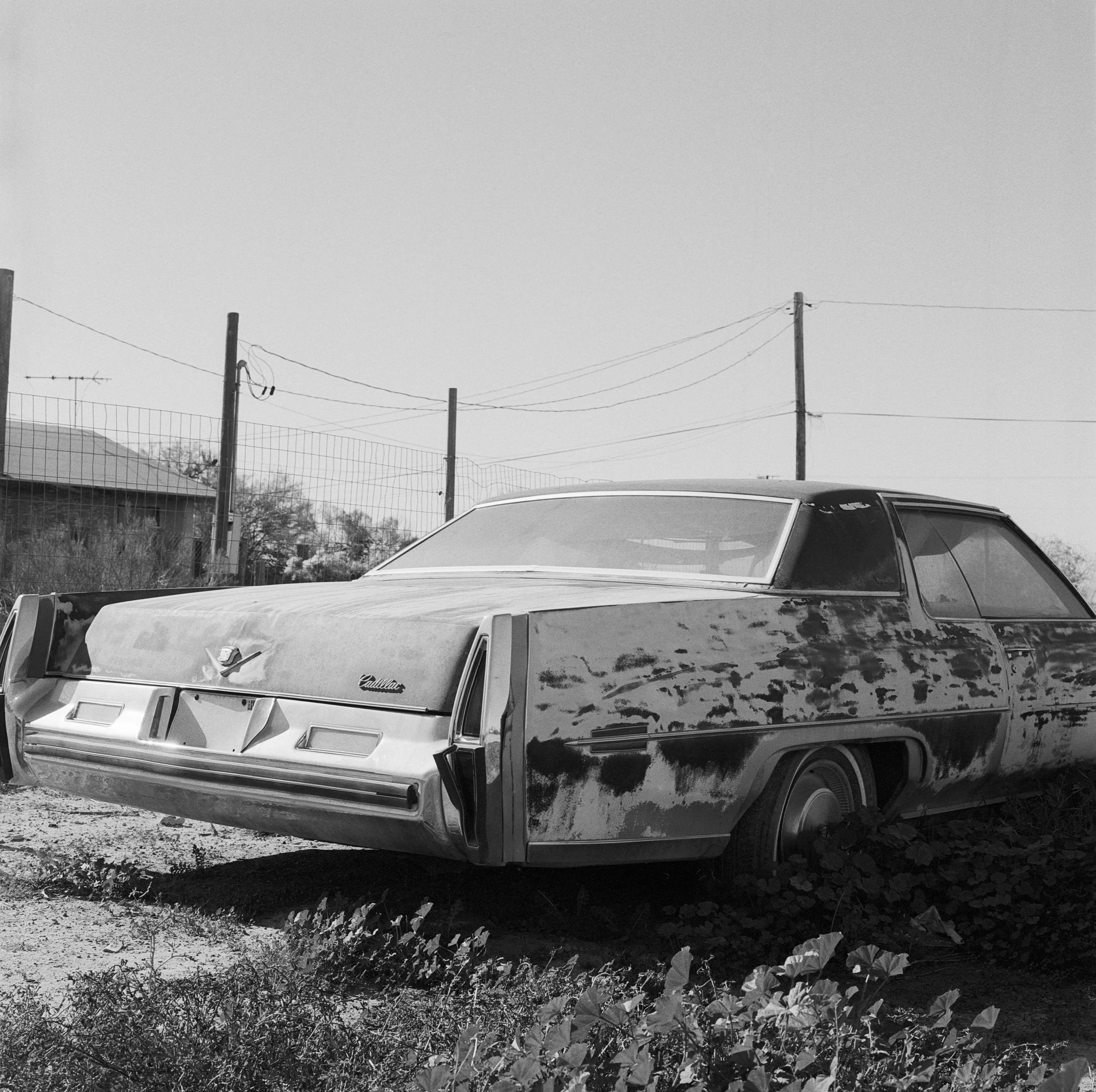Cadillac.jpg