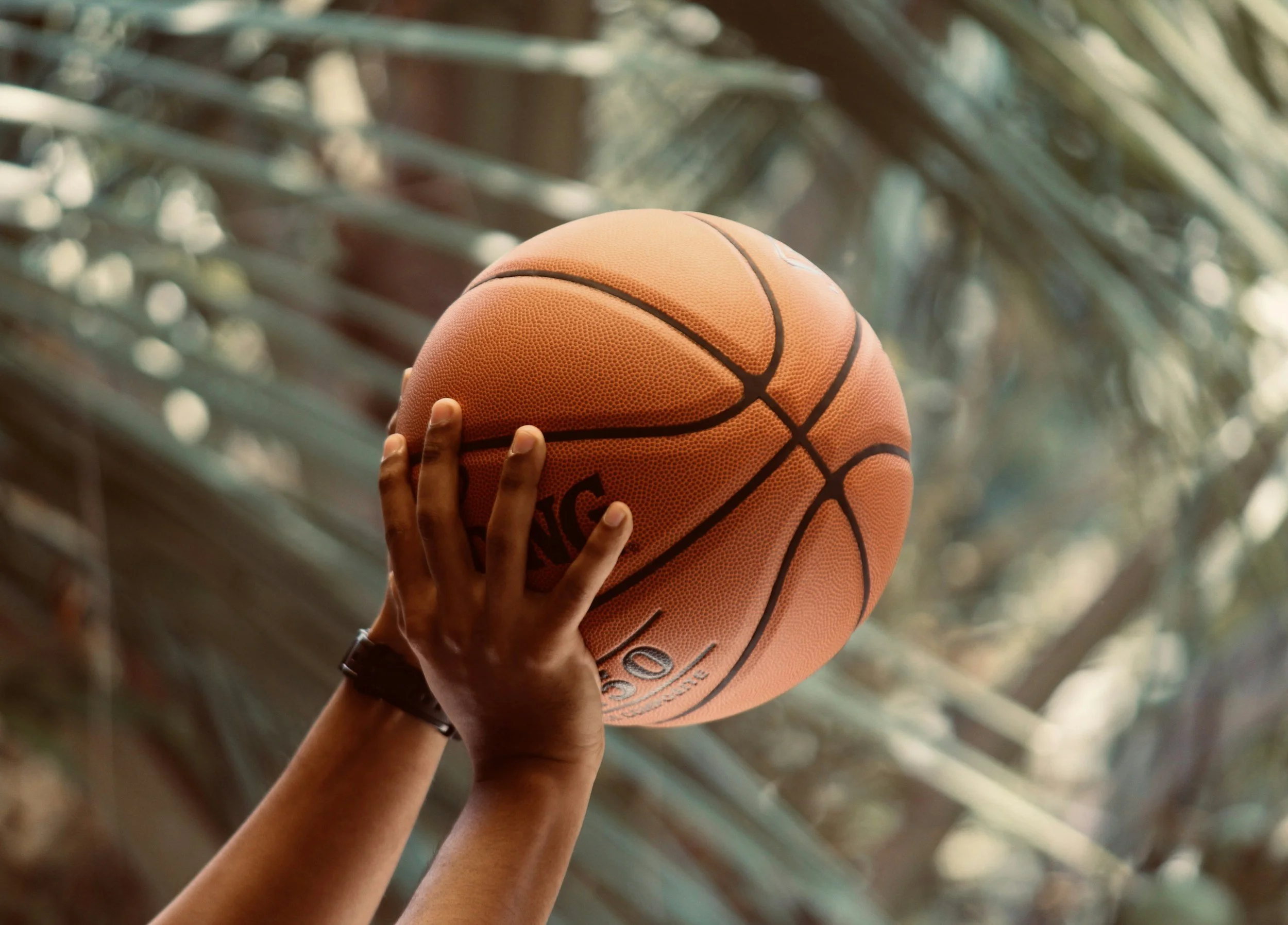 Person holding a basketball with both hands, outdoors with blurred palm or plant leaves in the background.
