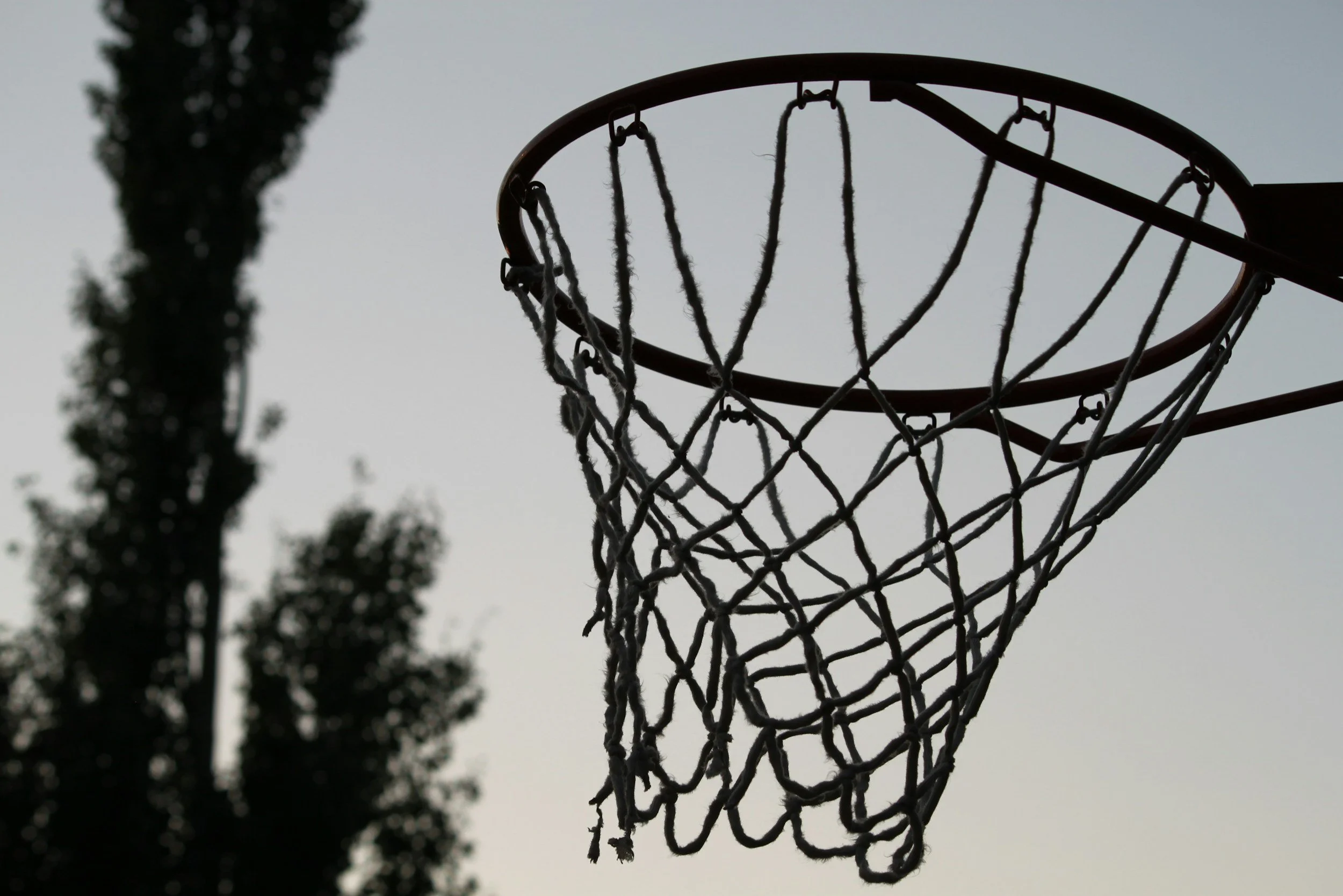 A basketball hoop against a clear sky with trees in the background.