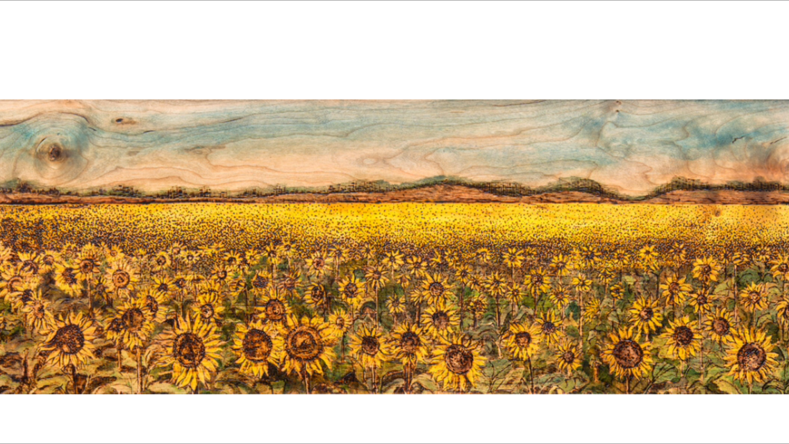 Bright Land of Ours. Field of Kansas Sunflowers. Woodburning and ink in handmade walnut frame. 13.25"x28.5".

Original: Sold I Prints: Available