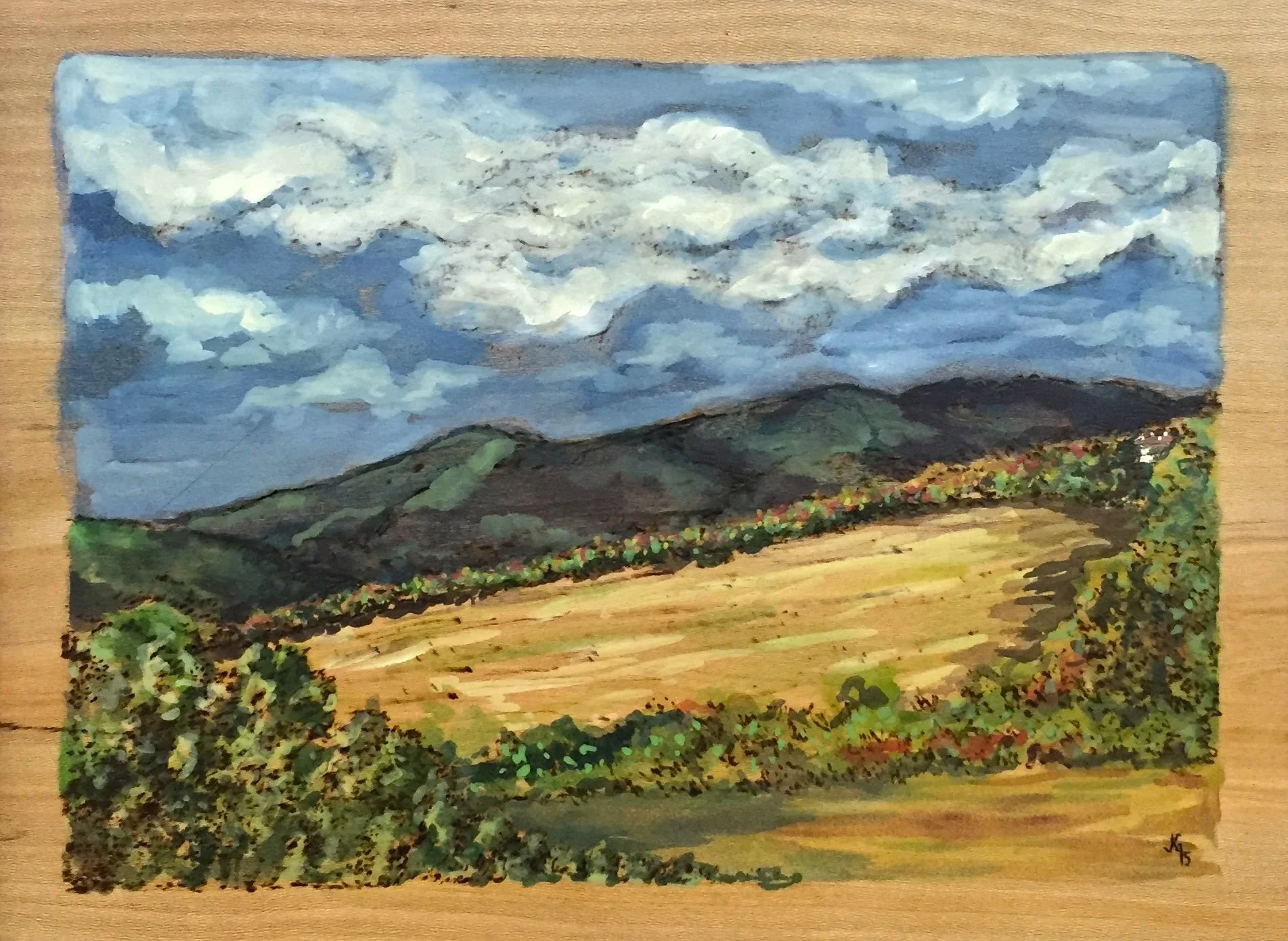 The Field Held Light.
Woodburning and gouache.
Handmade walnut frame by Evan H. Germann. 
16" x 10" 

Original: Sold I Prints: Not Available