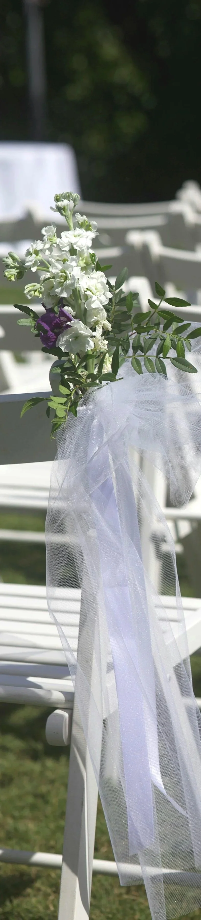 Wedding ceremony chairs arranged at a venue before guests arrive.