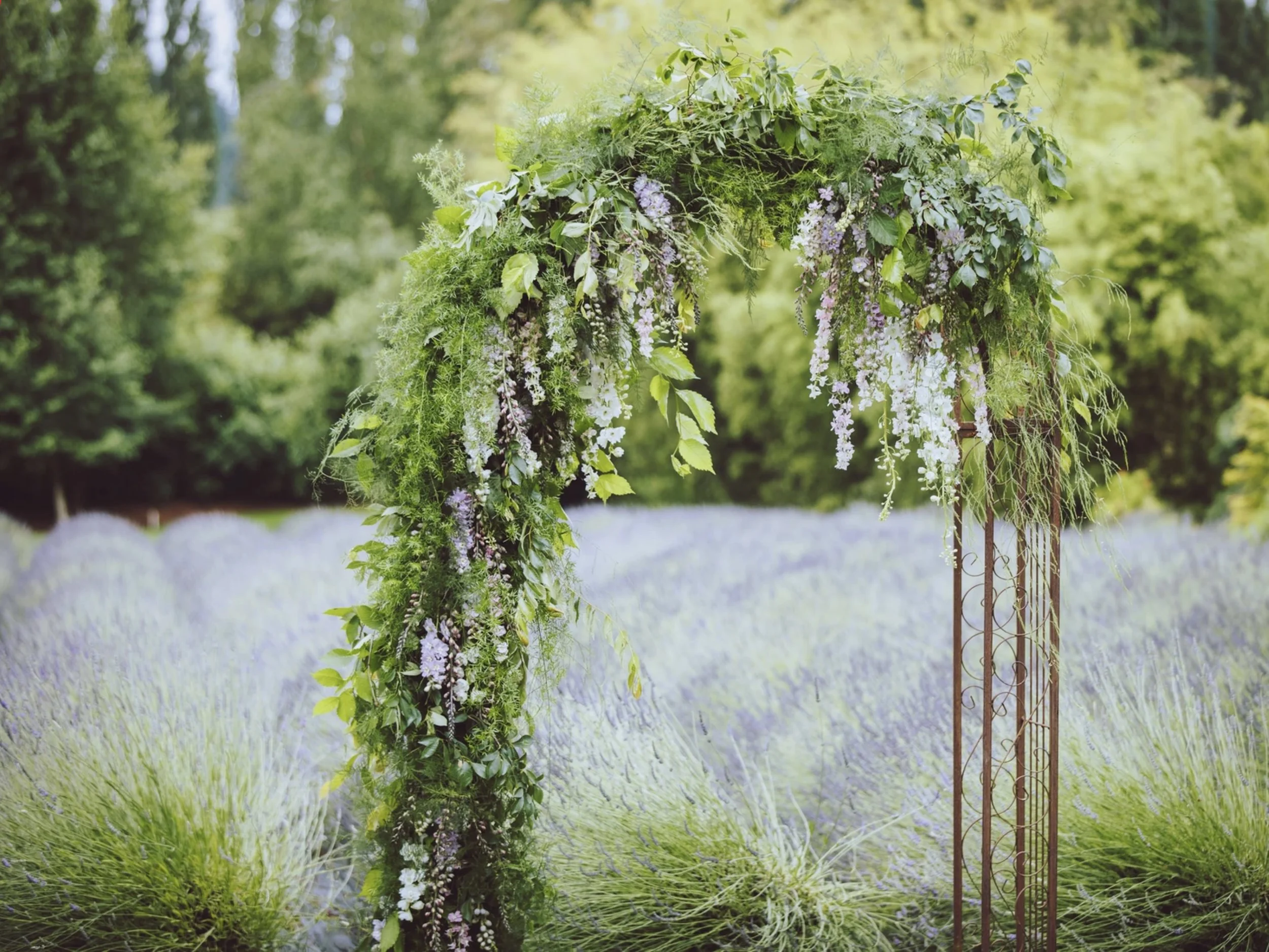 Asymmetrical wedding arch with cascading florals and lush greenery at Woodinville Lavender.