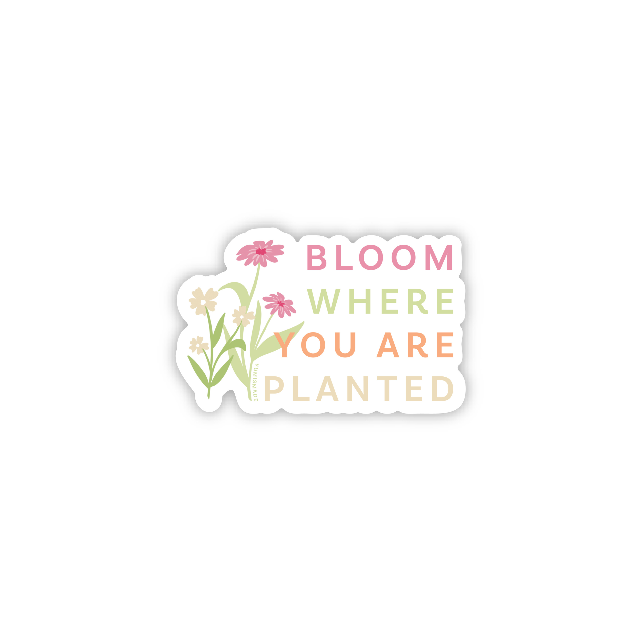 STK019-bloom-where-you-are-planted.png