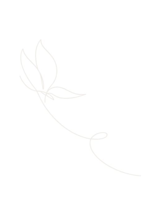 Minimalist Butterfly's Rest brand illustration symbolizing transformation, growth, and renewal.