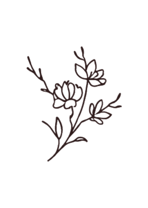A simple, hand-drawn illustration of a flowering plant with multiple blossoms and leaves.