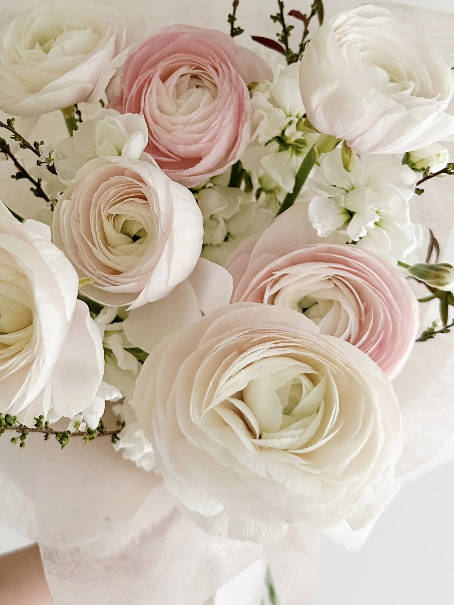 Hand-tied bouquet of blush pink and white ranunculus wrapped in soft pink paper.
