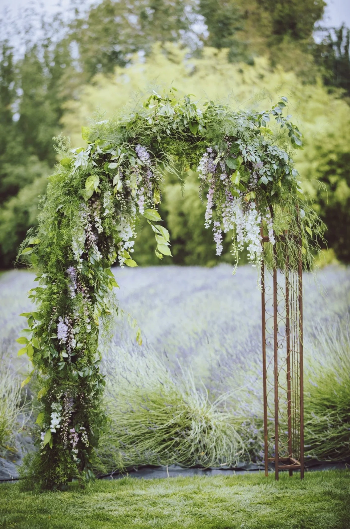 Wedding ceremony arch featuring cascading white and lavender florals, abundant greenery, and a lavender field backdrop.