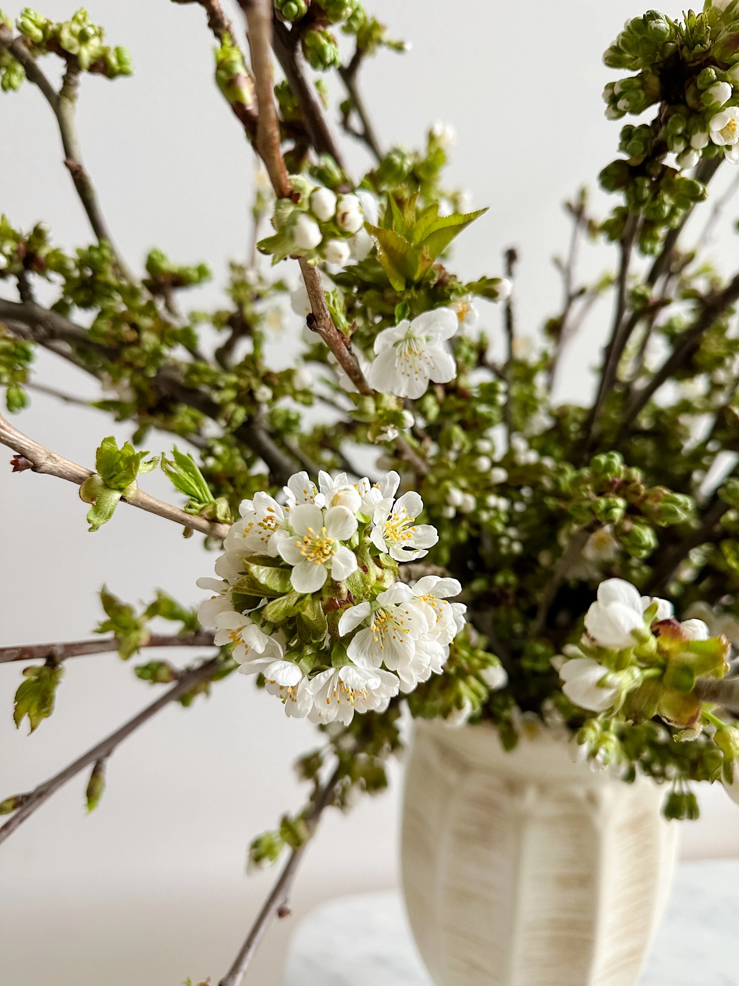 Blooming white branches arranged in a cream vase against a soft neutral background.