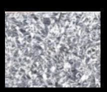 Screenshot 2024-01-09 at 9.08.33 pm.png