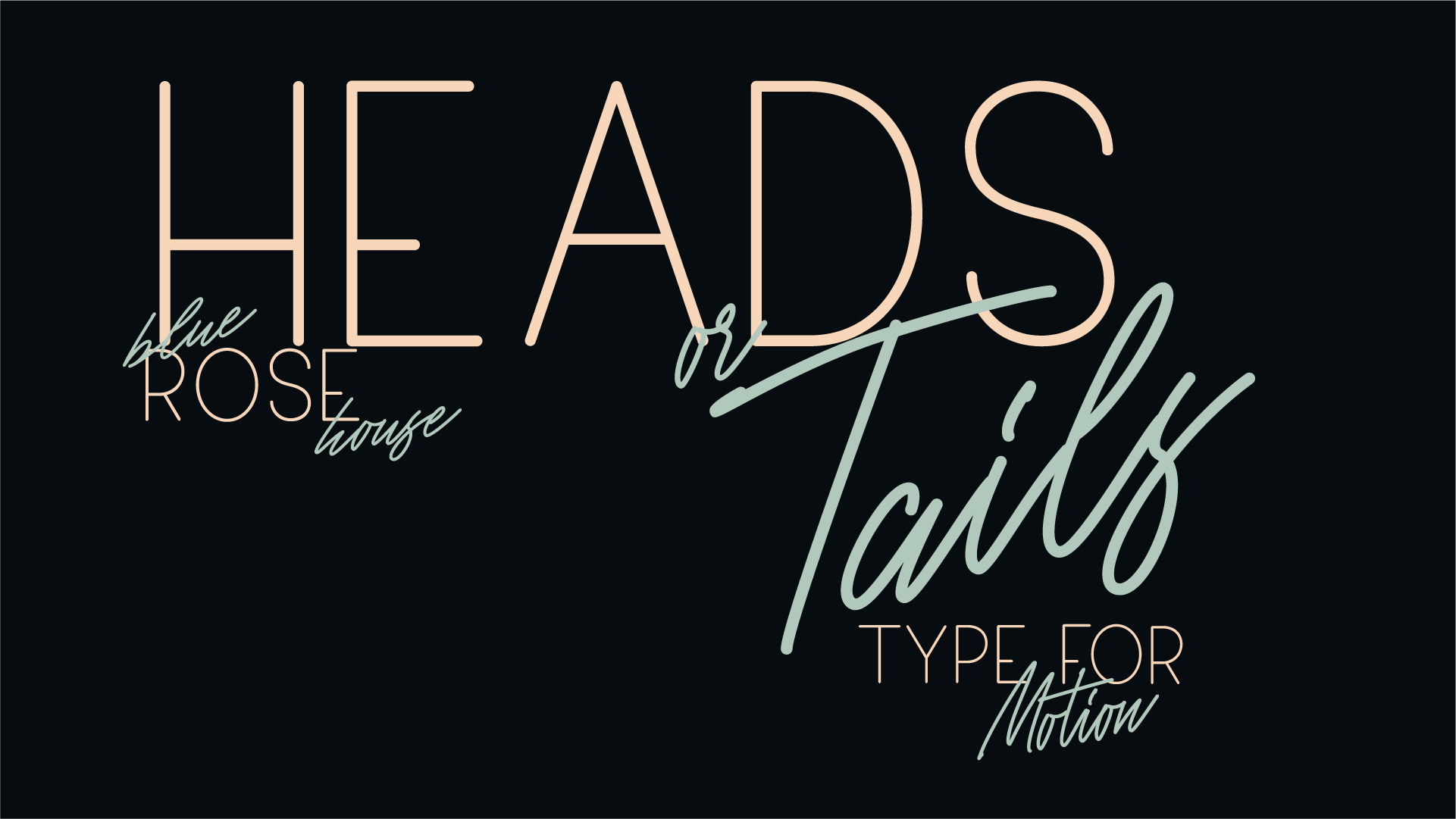 HEADS OR TAILS1.png