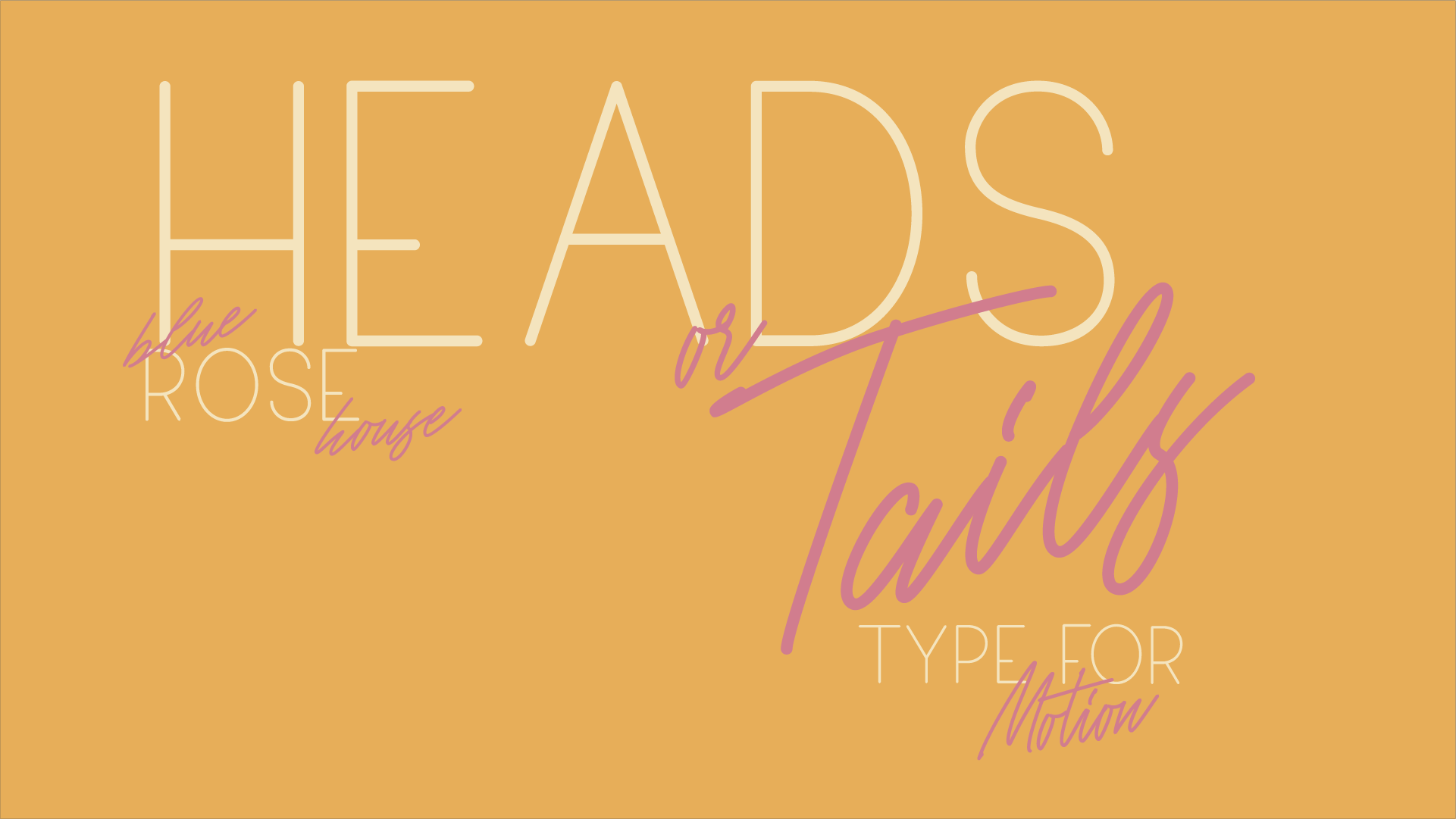 HEADS OR TAILS2.png