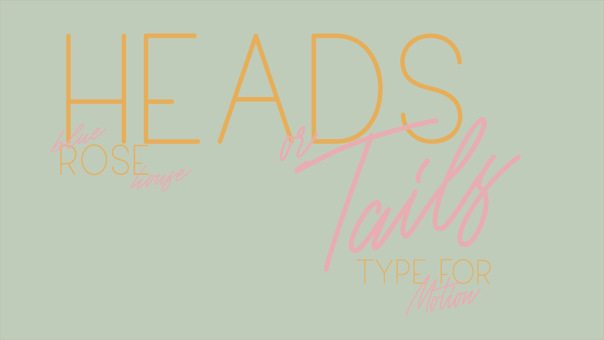 HEADS OR TAILS3.png