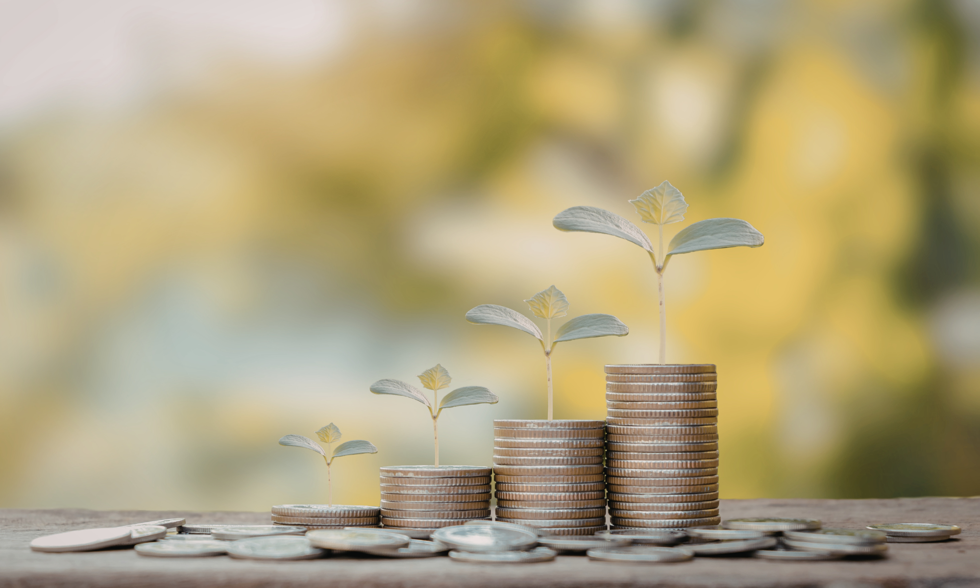 Stacks of coins with small plants growing from the top, symbolizing financial growth, on a wooden surface with blurred background.