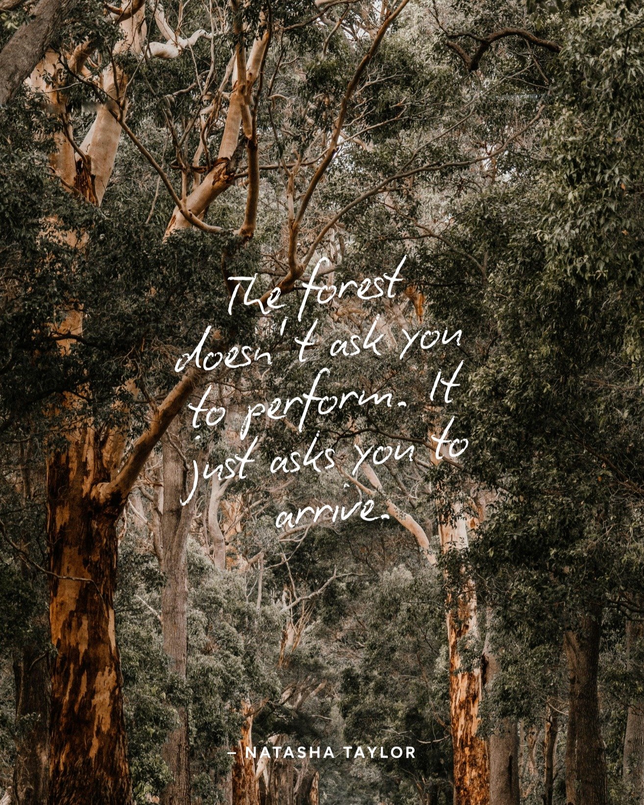 If you could save one thing from this world, what would it be?

For one of the WELLx Co-Founders and Directors, Natasha, that would be the trees.

She grew up running through forests. They were her first cathedral. Her first teacher. Long before she 