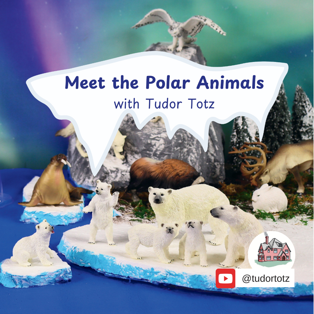 Educational display of polar animals including polar bears, seals, a snow owl, and musk oxen set in a winter landscape with ice, snow, and evergreen trees.