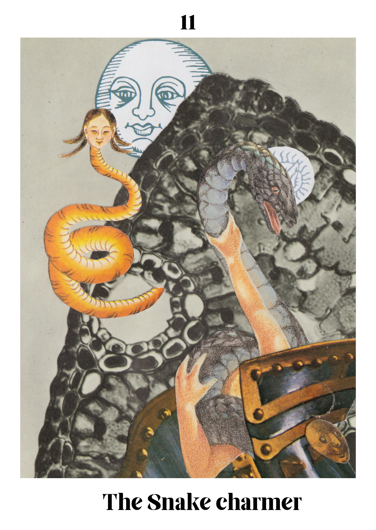 the snake charmer.png