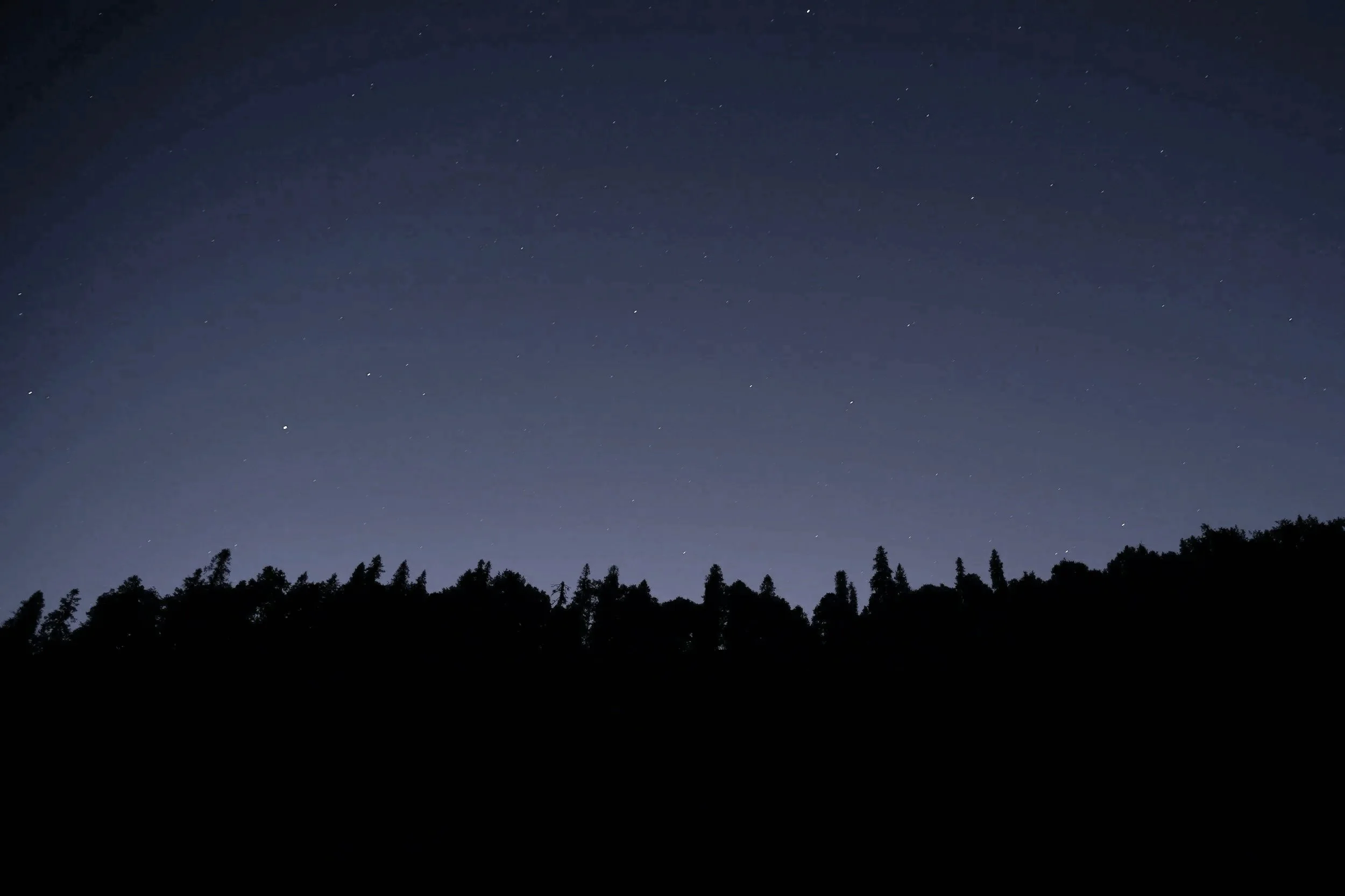 Night sky filled with stars above a silhouette of a treeline.