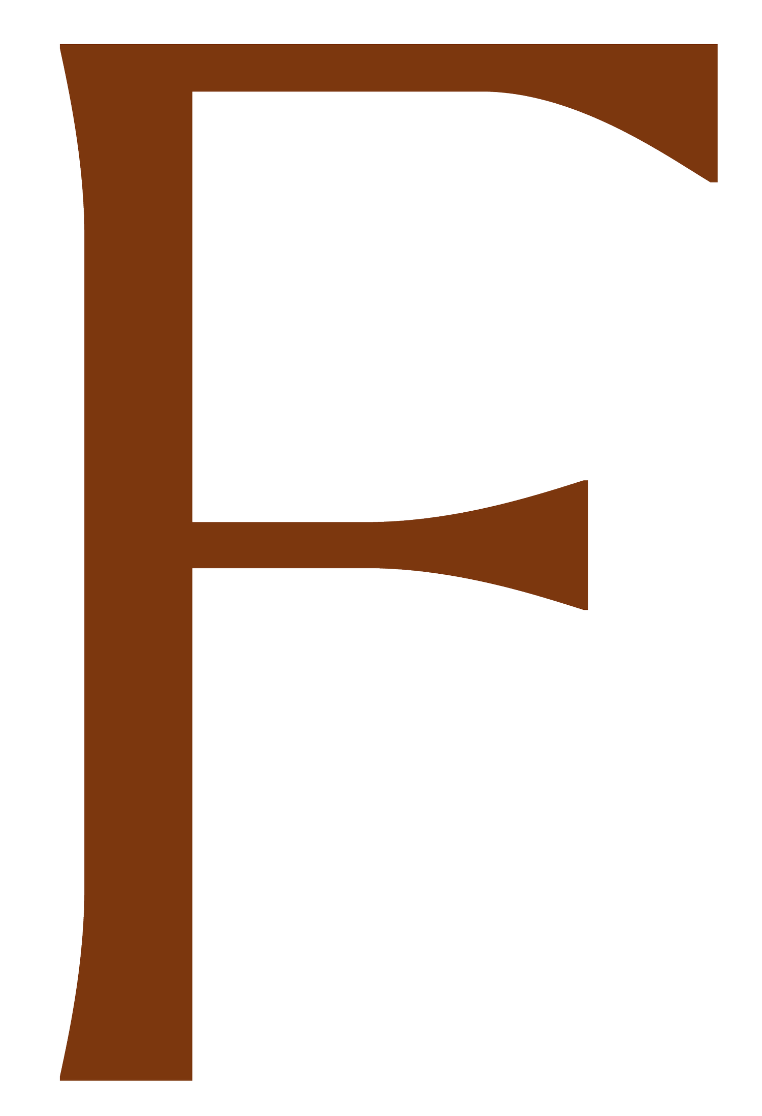 Forager Studio Queenstown