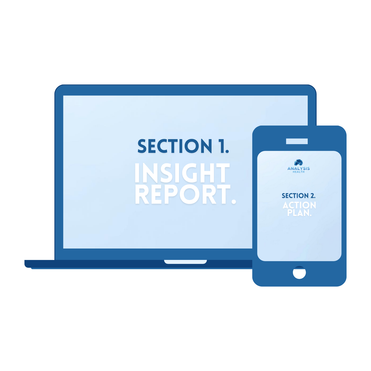 Insight Report & Action Plan