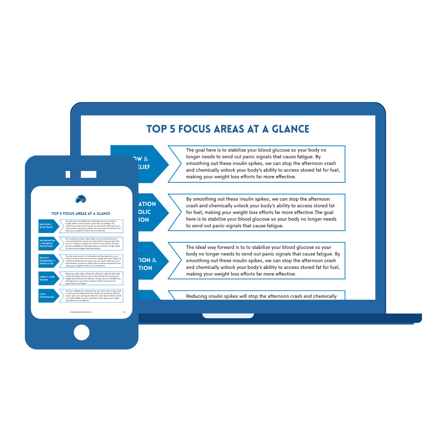 Illustration of a laptop and smartphone displaying a presentation slide titled 'Top 5 Focus Areas at a Glance,' highlighting blood glucose stabilization, insulin spikes, and weight loss efforts.