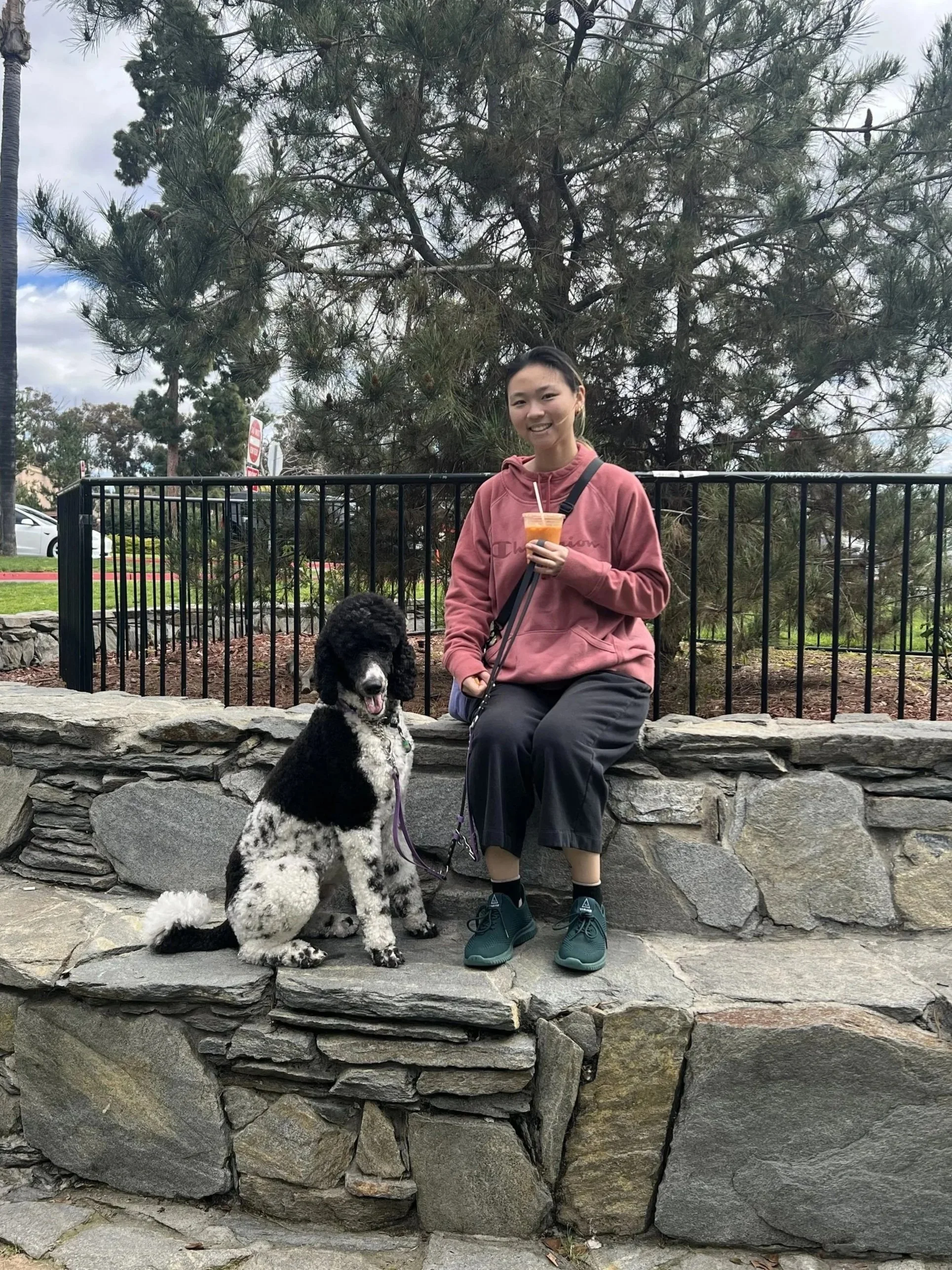 A young woman sitting on a stone ledge with a black and white dog at her side in a park. The woman is smiling and holding a drink. The background features trees and a black metal fence.