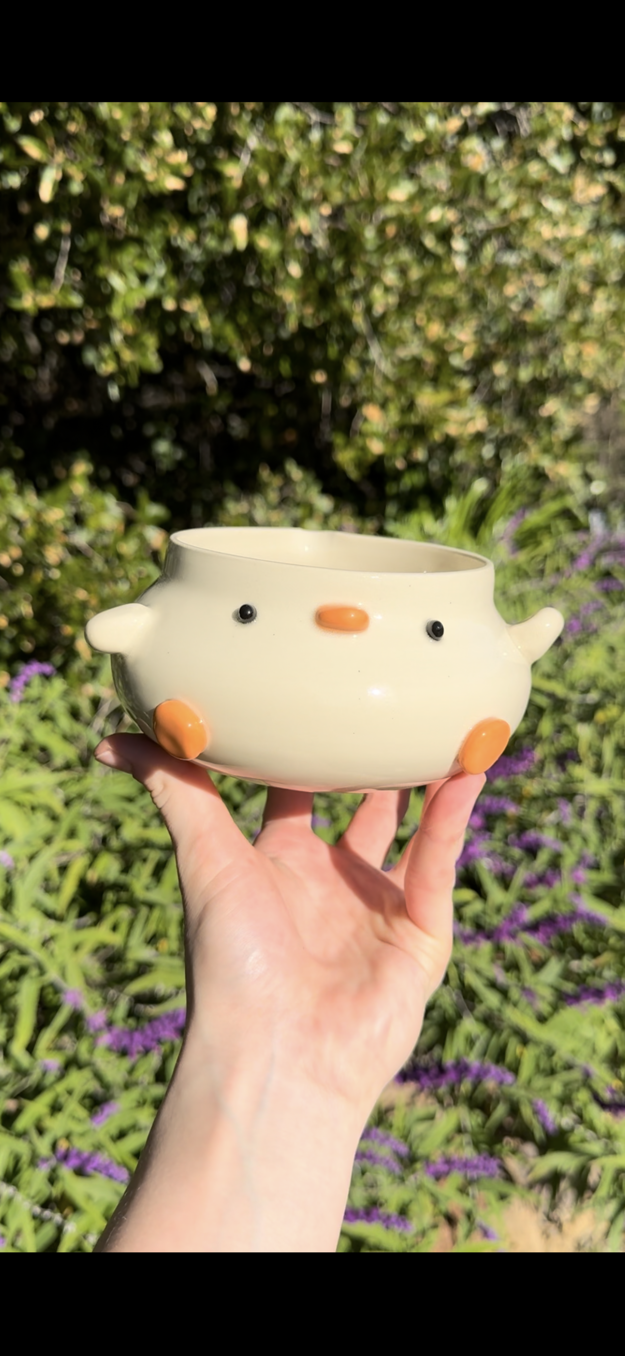 Duck Bowl