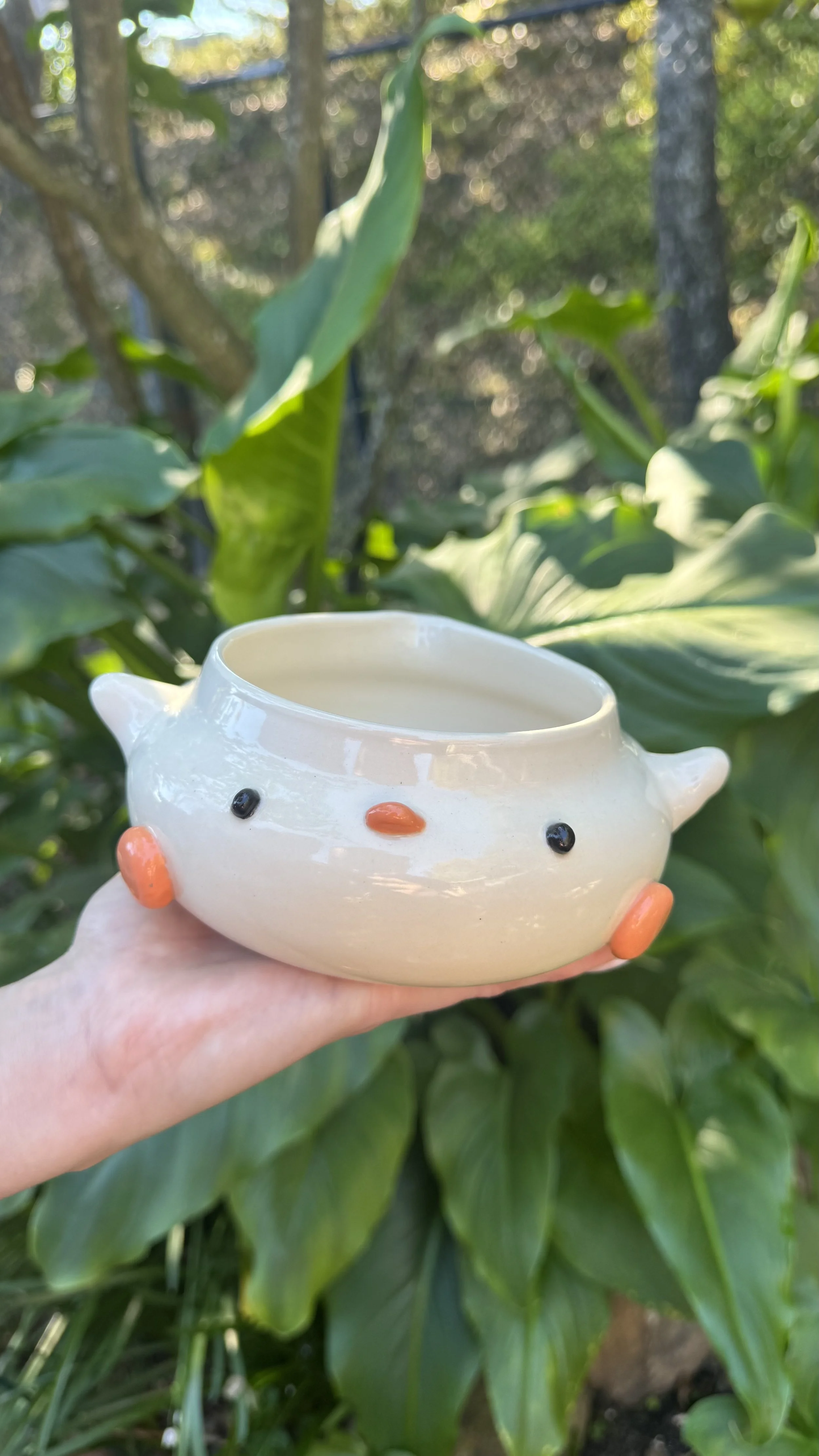 Duck Matcha Bowl