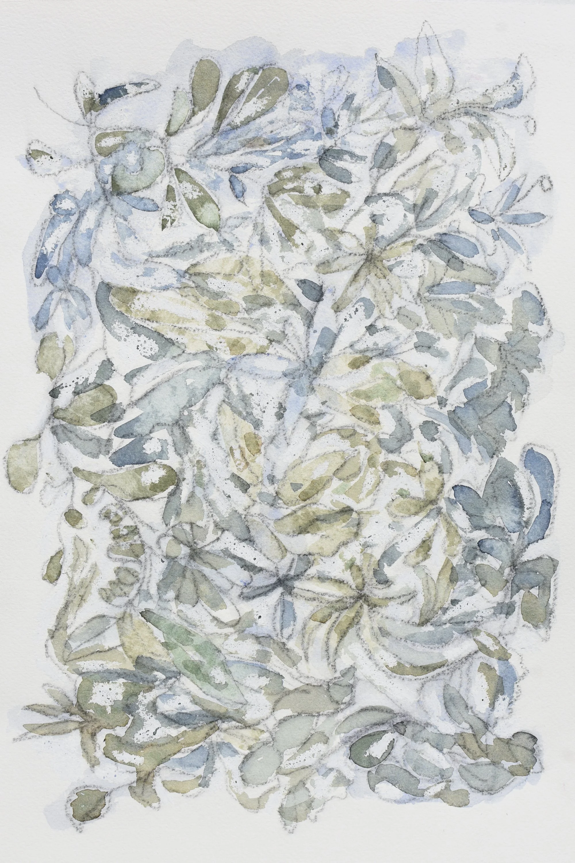 Mixed media and watercolour painting of a dense arrangement of green and blue-gray leaves on paper