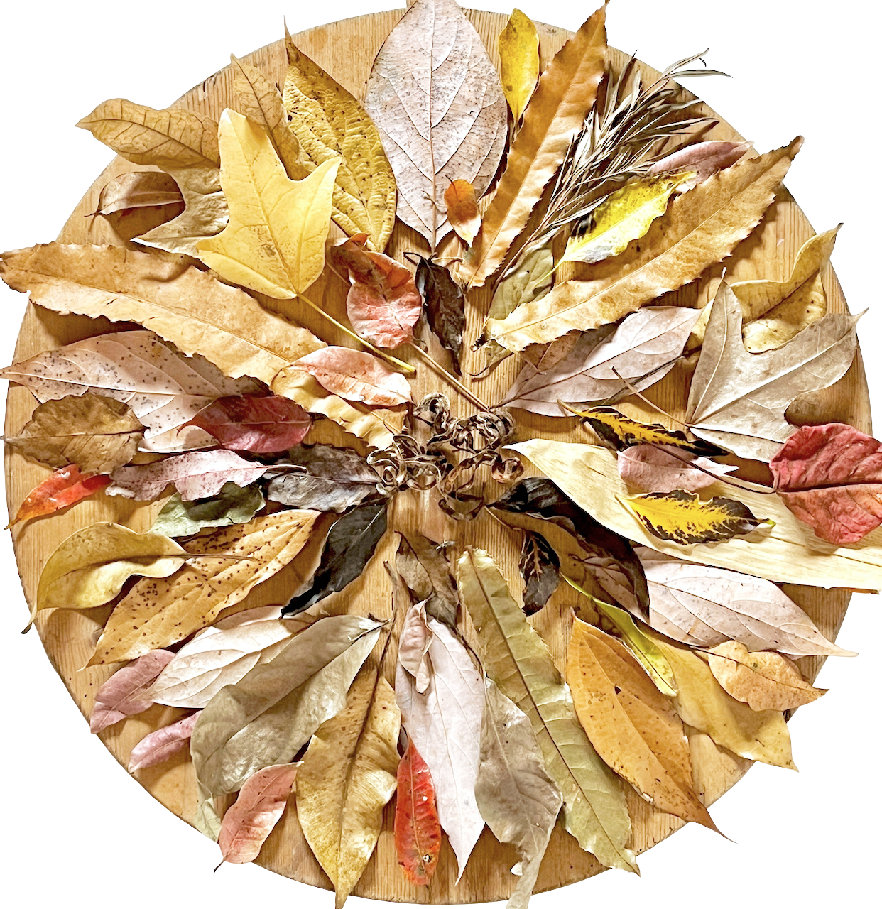 Fall leaves arranged in a circular pattern on a wooden surface.