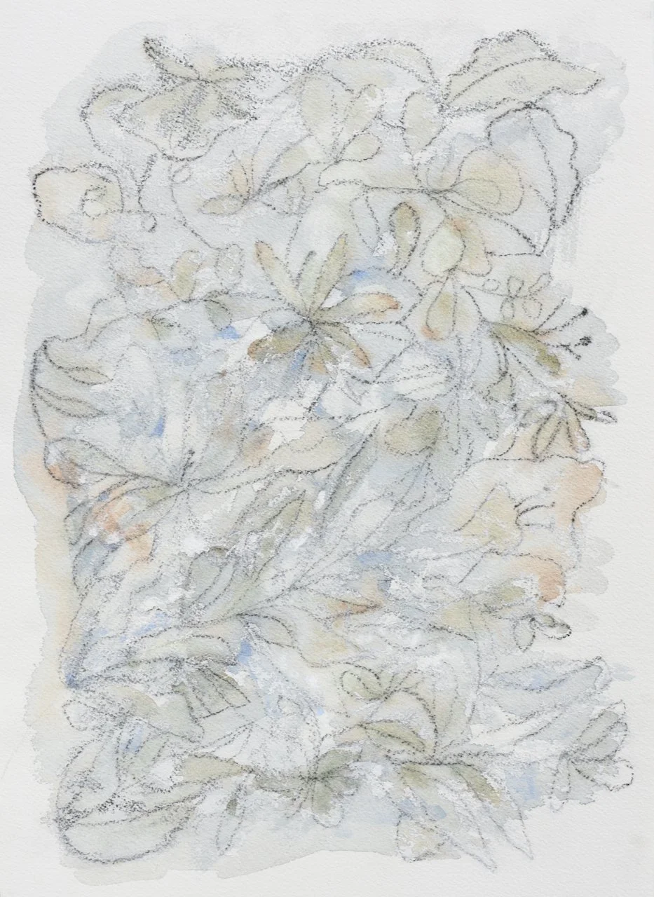 Light watercolor with charcoal sketch of various leaves and plants on textured paper.