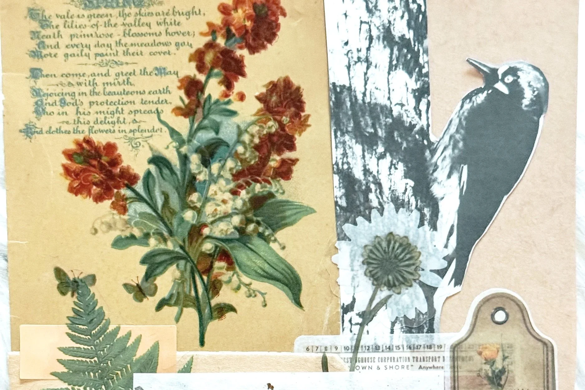 A collage featuring a vintage poem with floral illustrations, a black-and-white silhouette of a woodpecker on a tree, a cutout of a sunflower, a fern leaf, and some paper tags.