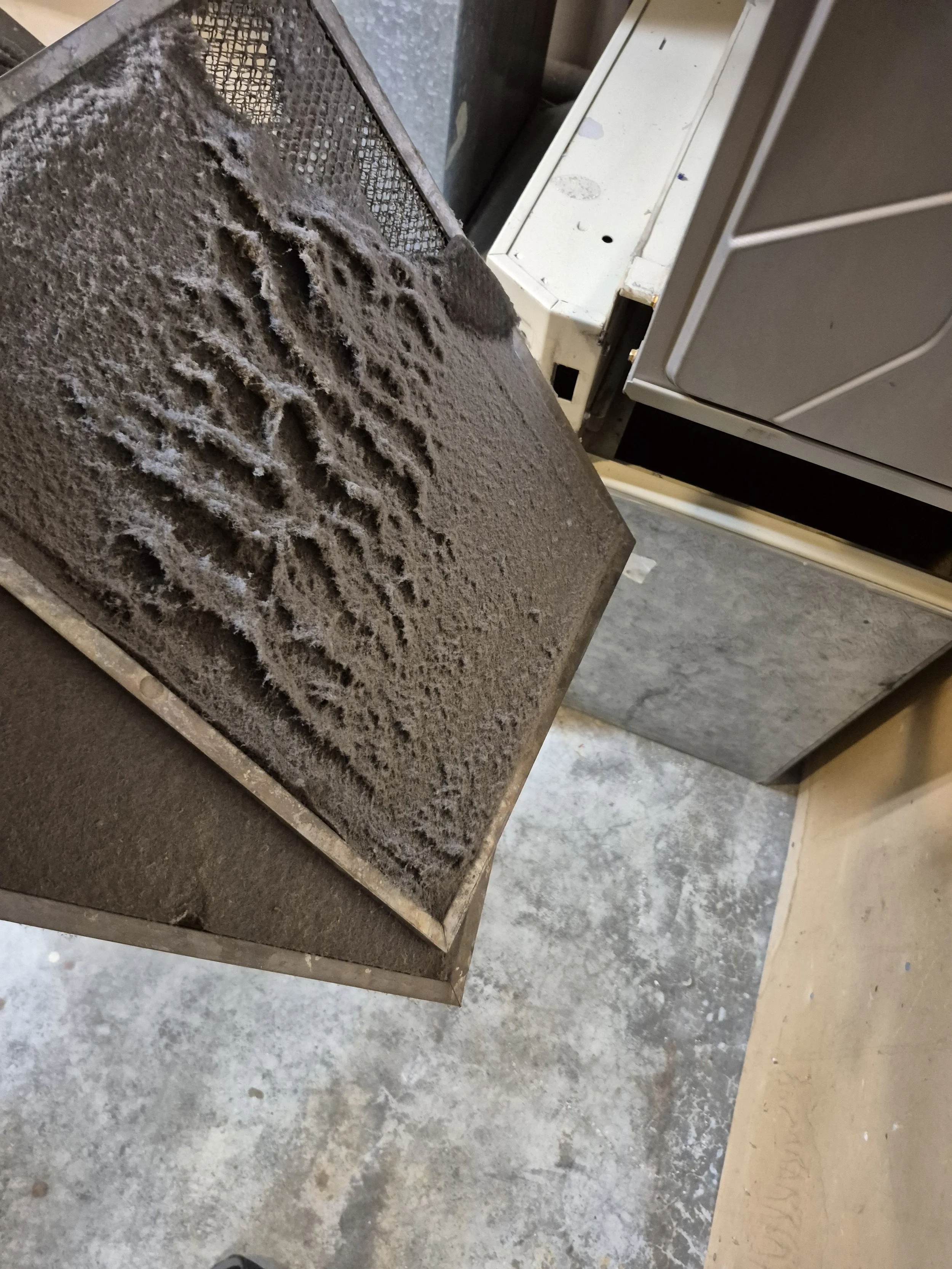 cleaning-filter in federal way