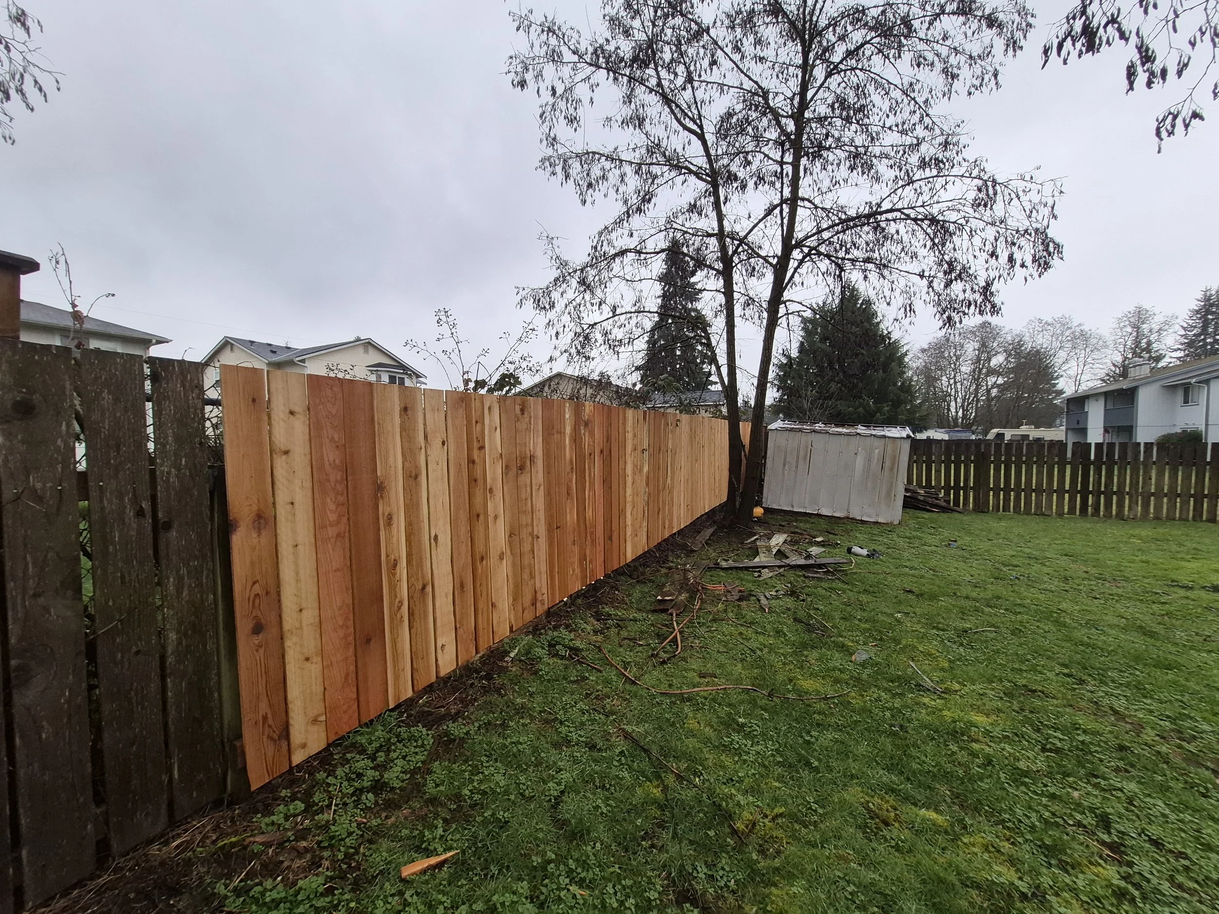 After installing ne fence in Puyallup city .jpg