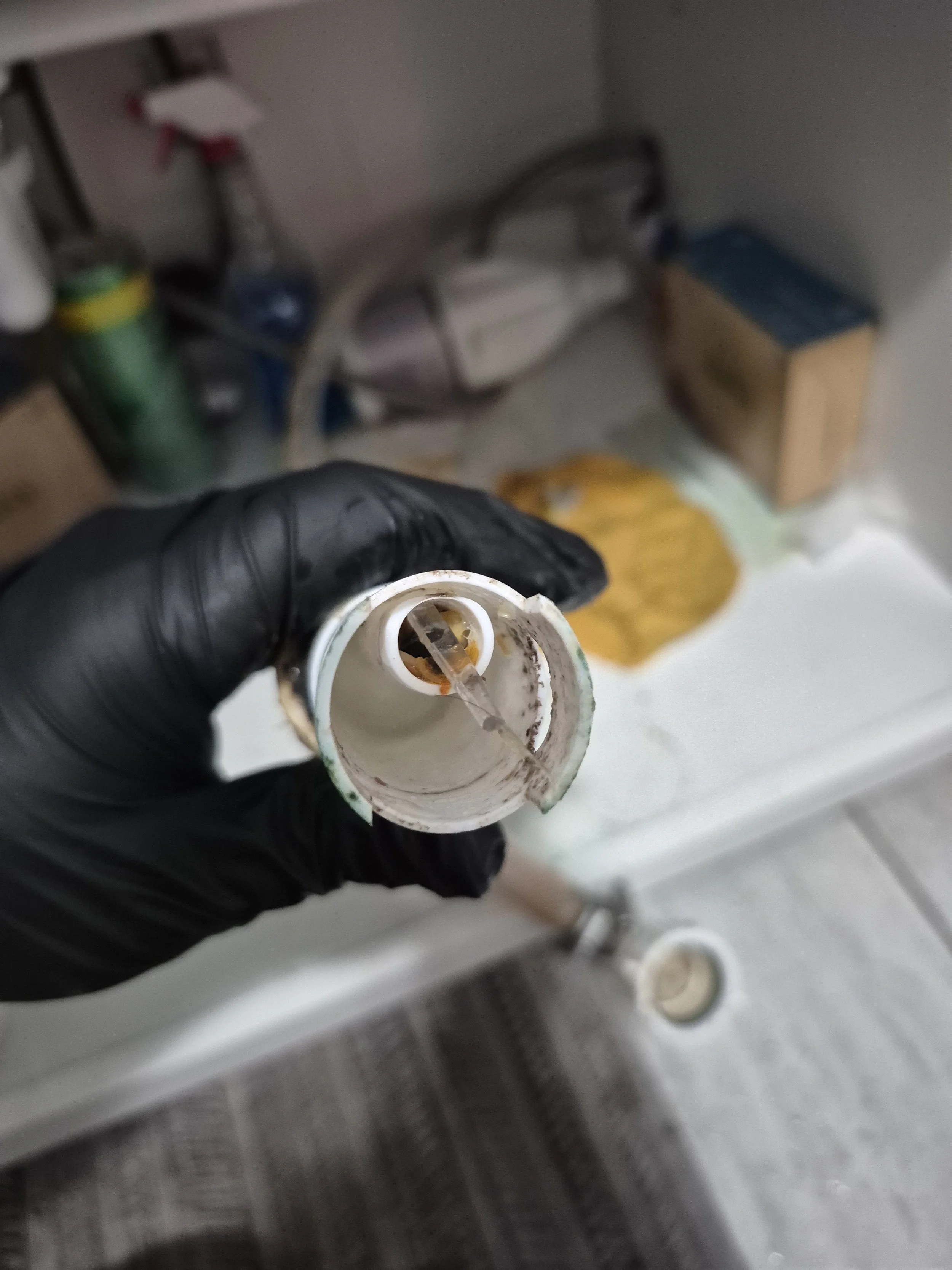 drain-clogged-repair federal way