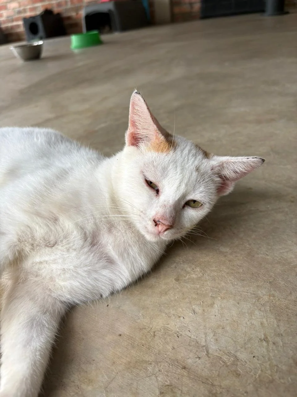 WhatsApp Image 2026-02-10 at 10.27.55.jpeg