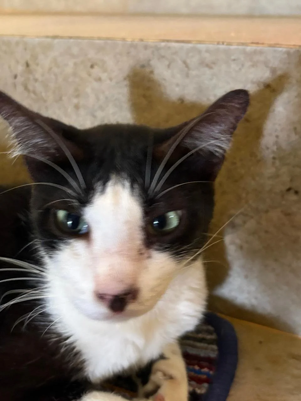 WhatsApp Image 2026-02-18 at 13.10.11 (8).jpeg