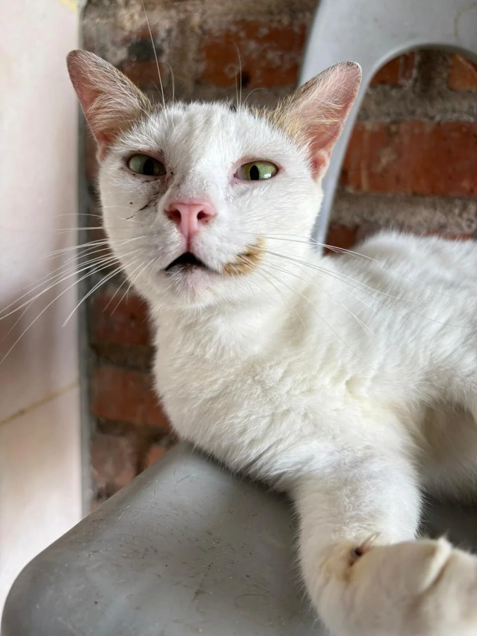 WhatsApp Image 2026-02-10 at 10.28.08.jpeg