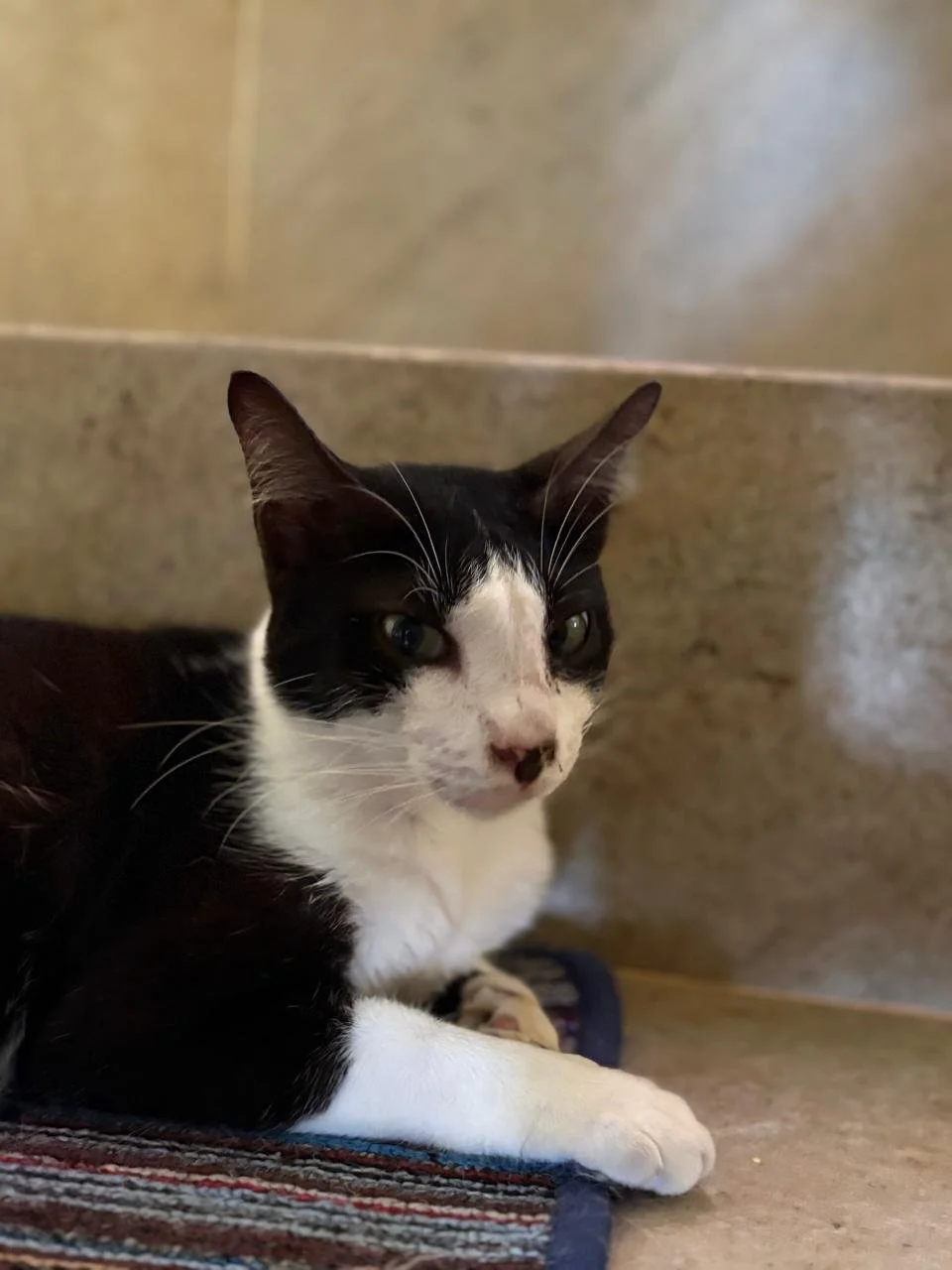 WhatsApp Image 2026-02-18 at 13.10.11 (6).jpeg