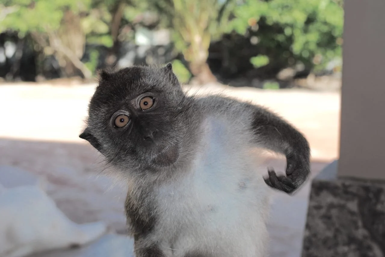 WhatsApp Image 2026-02-19 at 09.26.51.jpeg