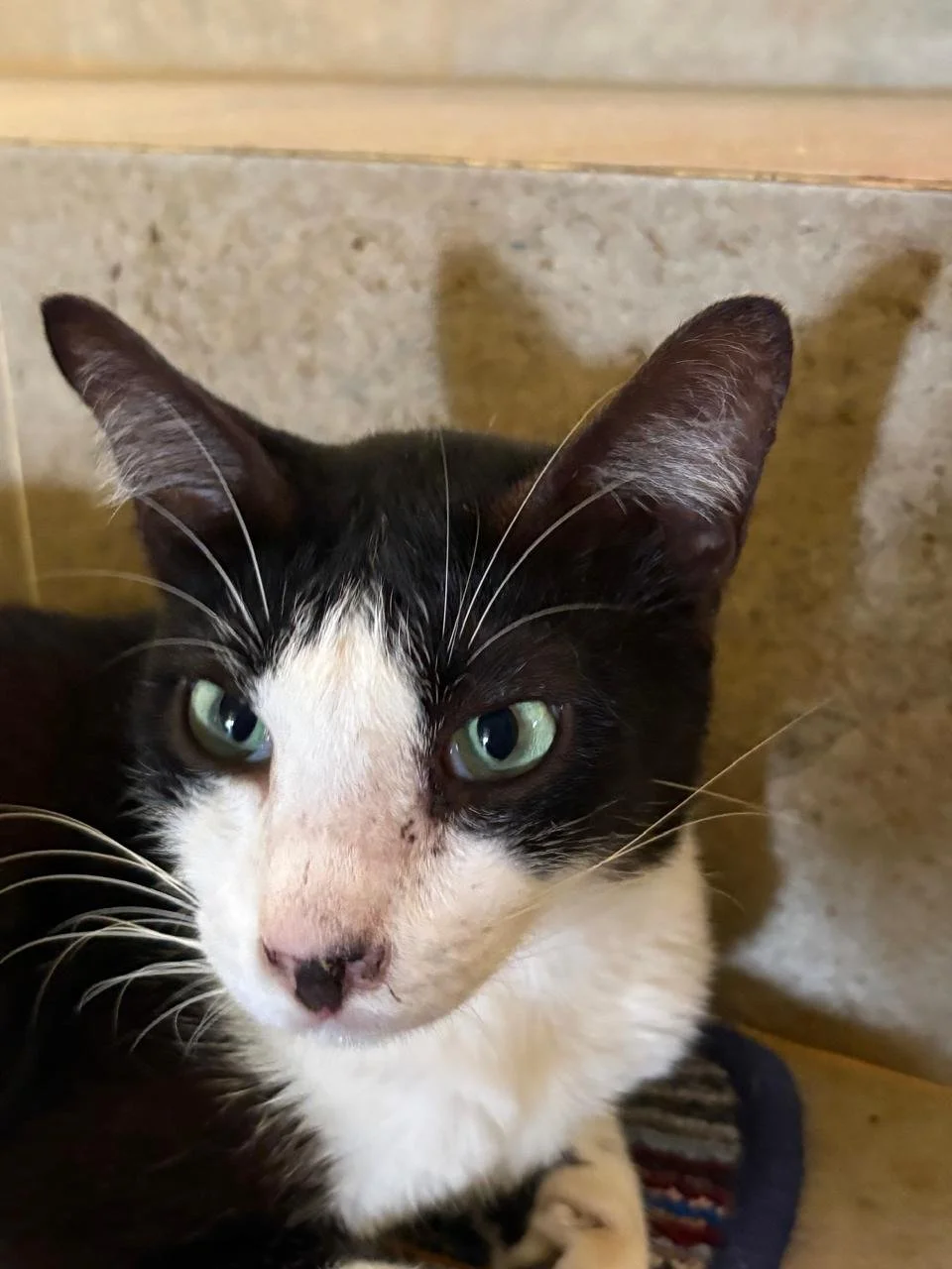 WhatsApp Image 2026-02-18 at 13.10.11 (9).jpeg