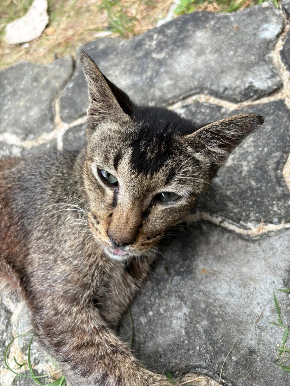 WhatsApp Image 2026-02-10 at 10.27.58.jpeg