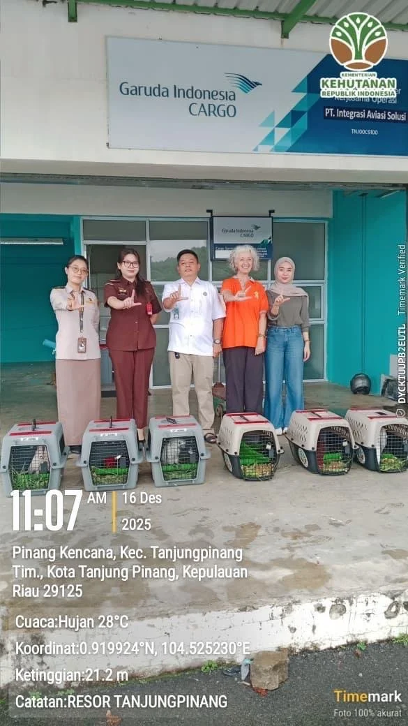 WhatsApp Image 2026-02-01 at 13.44.10 (1).jpeg