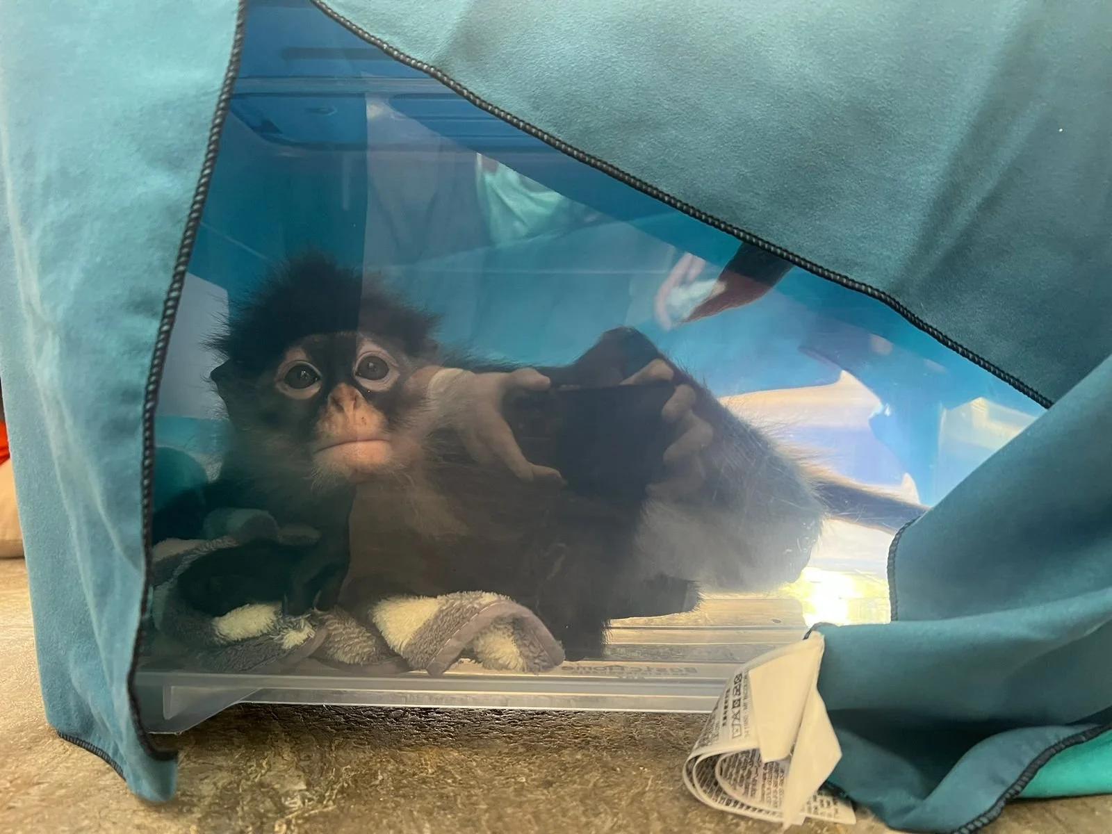 WhatsApp Image 2026-02-02 at 13.45.17.jpeg