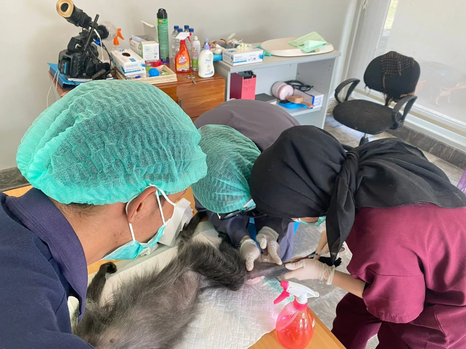 WhatsApp Image 2026-02-02 at 13.07.34.jpeg